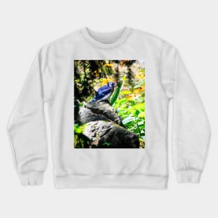 Blue Jay In My Garden Crewneck Sweatshirt